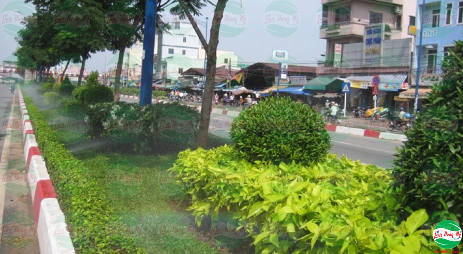 Hệ thống tưới tự động Đường Trường Chinh